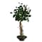 2ft. Ficus Bonsai Artificial Tree in Decorative Planter